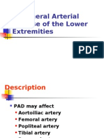 Peripheral Arterial Disease of The Lower Extremities