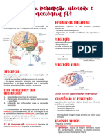 Sensação Percepção Consciência e Atenção