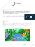 Un Ecosysteme La Mare - Fiche de Cours