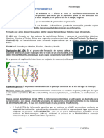 Tema 4 Expresión Génica