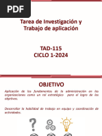 Indicaciones Tarea Investigativa y de Aplicacion - TAD 115-2024