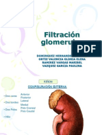 Filtracion Glomerular