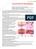 Aula 1 - Introdução Ao Processo Inflamatório 2