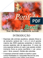 Aula01 Poriferos