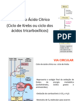 Aula 10 - Ciclo de Krebs - Unigranrio