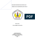 Laporan Praktikum Bioteknologi Pertanian Lusia Merry