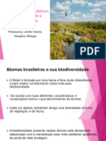 Aula Biodiversidade Sesi