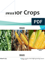 Minor Crops