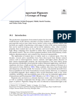 Industrially Important Pigments From Different Groups of Fungi