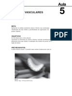 09034318082016morfologia e Anatomia Vegetal Aula 5