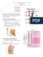 Lesão Vertebro Medular