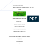 Proyecto, Plan de Mejoramiento y Articulo Cientifico