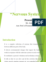 Nervous System