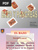 Presentación Bazo y Páncreas