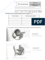 Examen 3D - 3º EVALUACIÓN