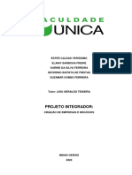 P.I - Criação de Empresas - Estudo Dirido Ix