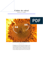 Cahier de Calculs BCPST - Corrigés