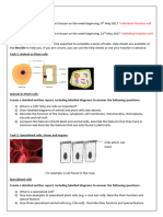 Cells Task