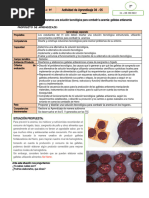 2° - ACT. 04 - Diseñamos y Elaboramos Una Solución Tecnológica para Combatir La Anemia - Galletas Antianemia.