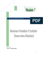 7action Potential