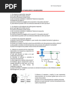 Actividades Metabolismo