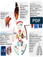 Diagrama 5 Elementos Hindu