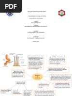 Absorcion de Nutrientes