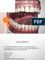 Lengua