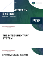 Integumentary System