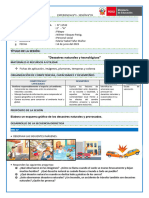 Desastres Naturales y Tecnológicos