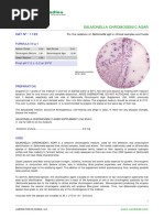 Salmonella Chromogenic Agar 4