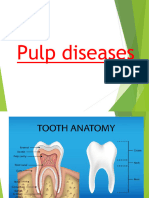 4 - Pulp Diseases