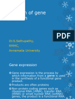 Gene Regulation (Post Translation)