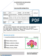 Evaluación Sumativa: Colegio Adventista de Hualpen