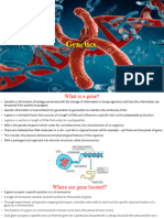 Genetics DP1