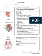 Summary Notes (Introduction To The Male Genitalia and Rectum)