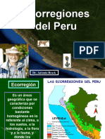 Ecorregiones Del Perú