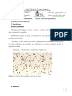 Corynebacterium Diphtheriae - 2.pdf Version 1