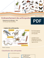 Cours 7 Faunistique Arthropodes 2 Roky 2022