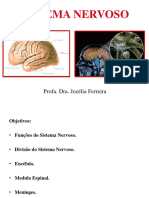 Aula 03.2 - Anatomia Do Sistema Nervoso