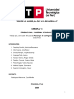 Trabajo Final de Psicologia Organizacional