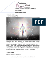 5 Quinta-Feira - 1 Semana de Autocura Energética (Acolhimento Energético)