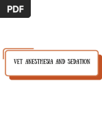 Vet Anesthesia and Sedation