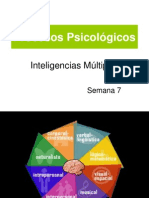 Inteligencias Multiples