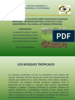 Deforestacion-Bosques Tropicales