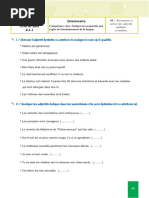 Les Adjectifs