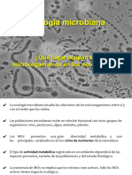 Teorico 4 Microorganismos en El Ambiente .PPTX