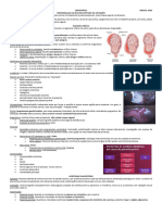 Placenta Prévia e Descolamento Prematuro de Placenta