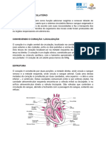 Sistema Cardiovascular - 1º em