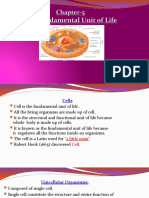 Grade-9 Cbse Chapter-5 Revision Notes